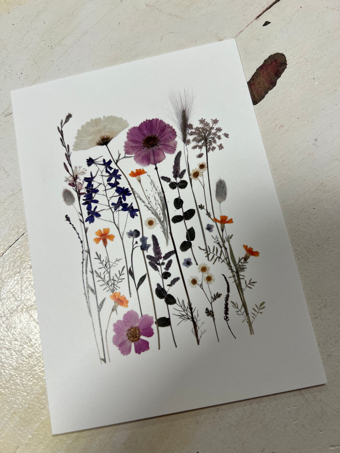 Kunst plakat vilde blomster