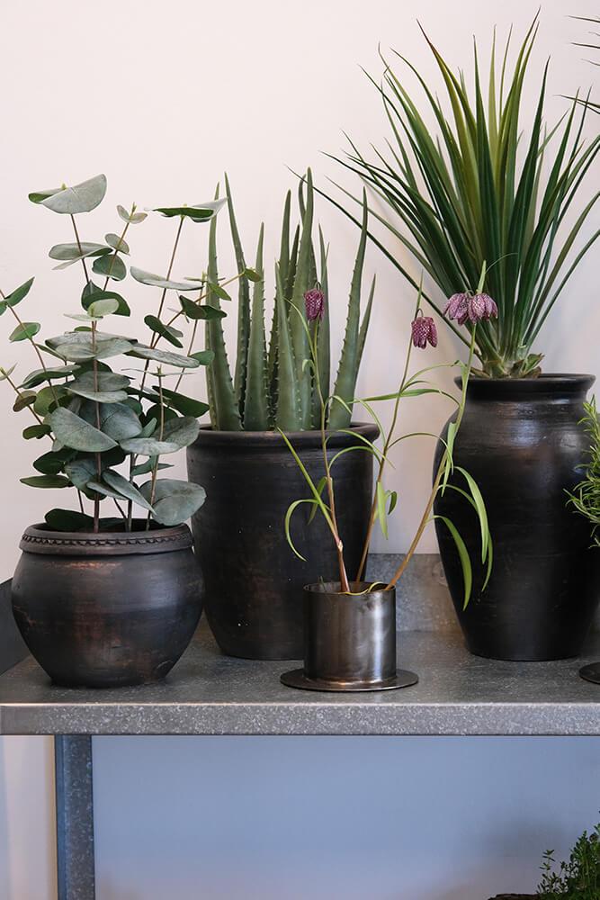 Dahlia høj lerkrukke