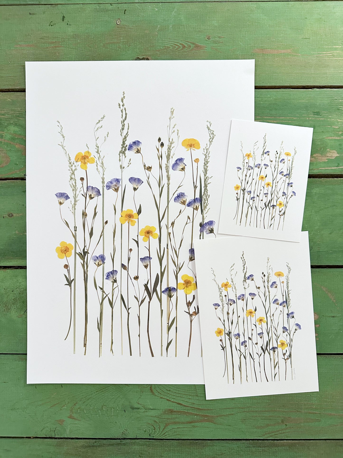 Plakat med blomster fra Blomsterpresseriet
