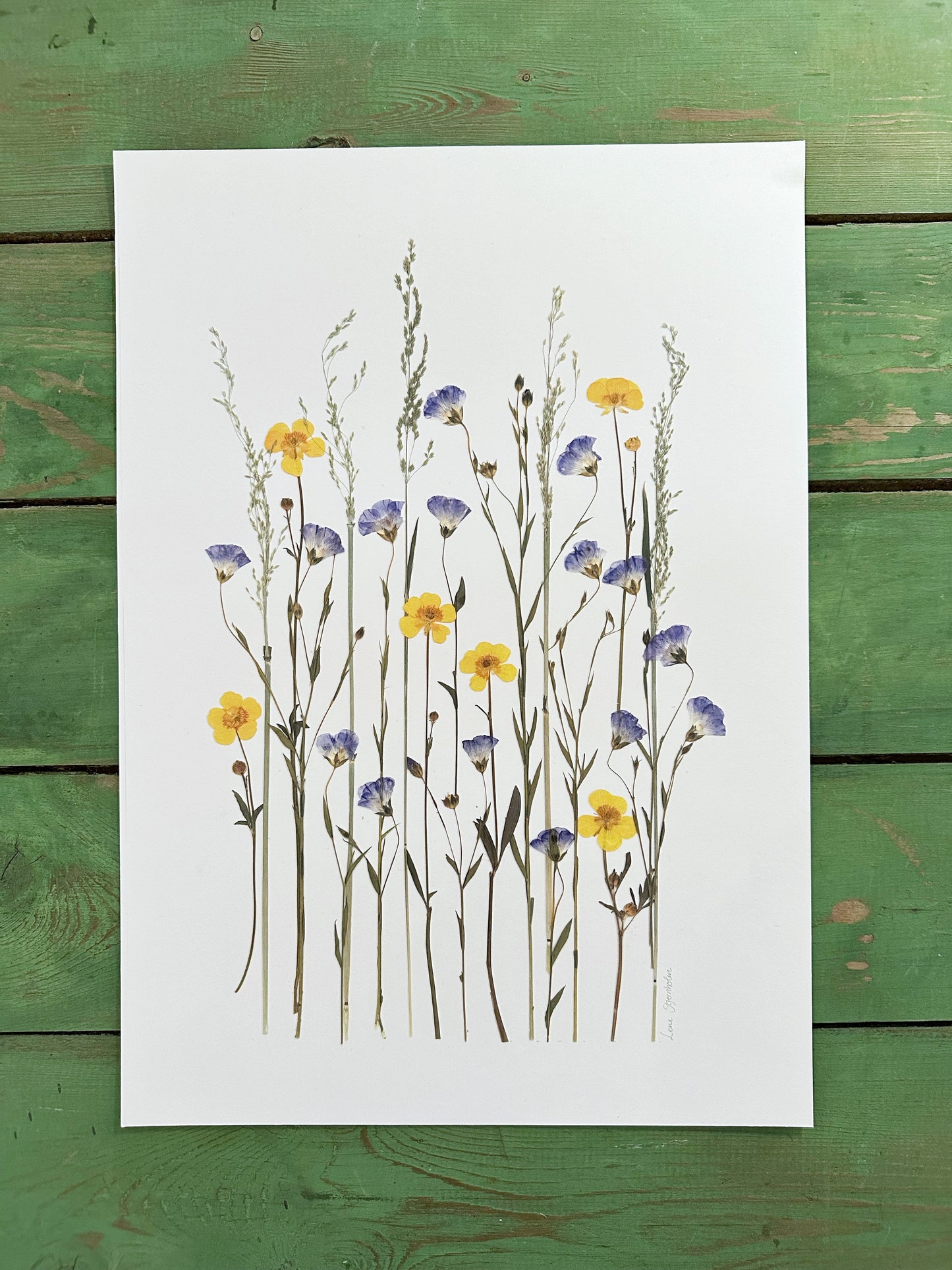 Natur plakat fra Blomsterpresseriet