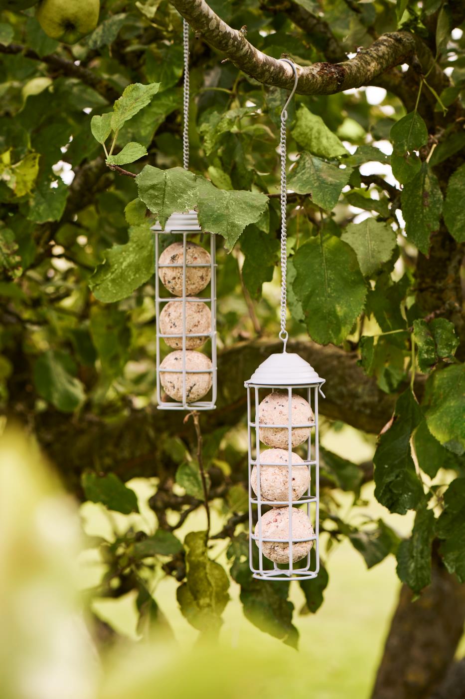 Foder hus til fugle fra Ib Laursen