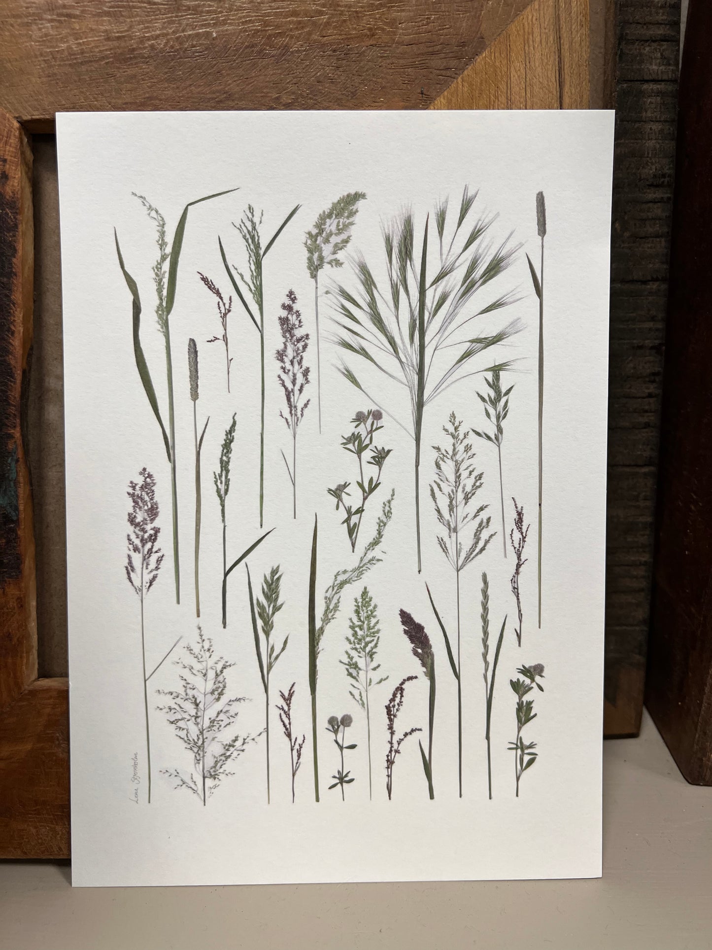 Plakat til stuen med vilde blomster