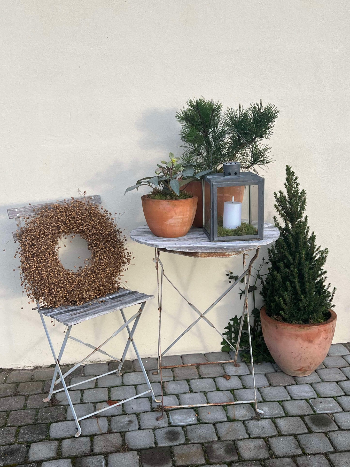 Dørkrans jul fra Pro Flora