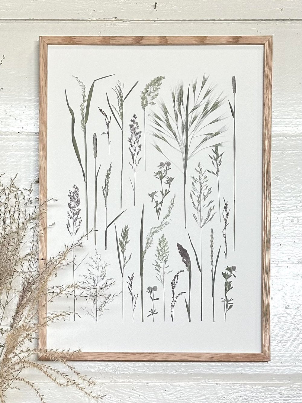 Plakat med hvid baggrund og græsser