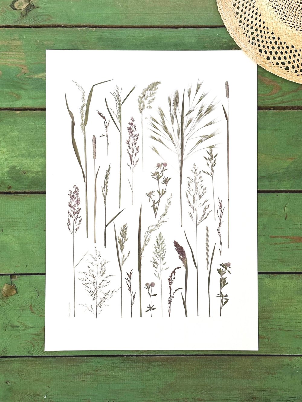 Plakat med græsser på