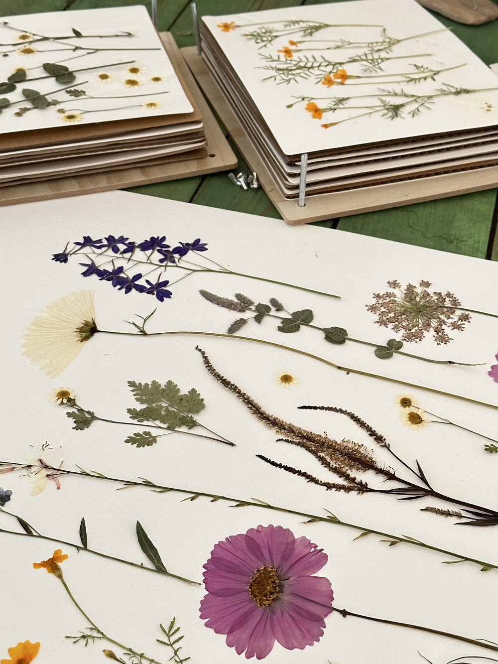 Plakat med blomster hvid baggrund