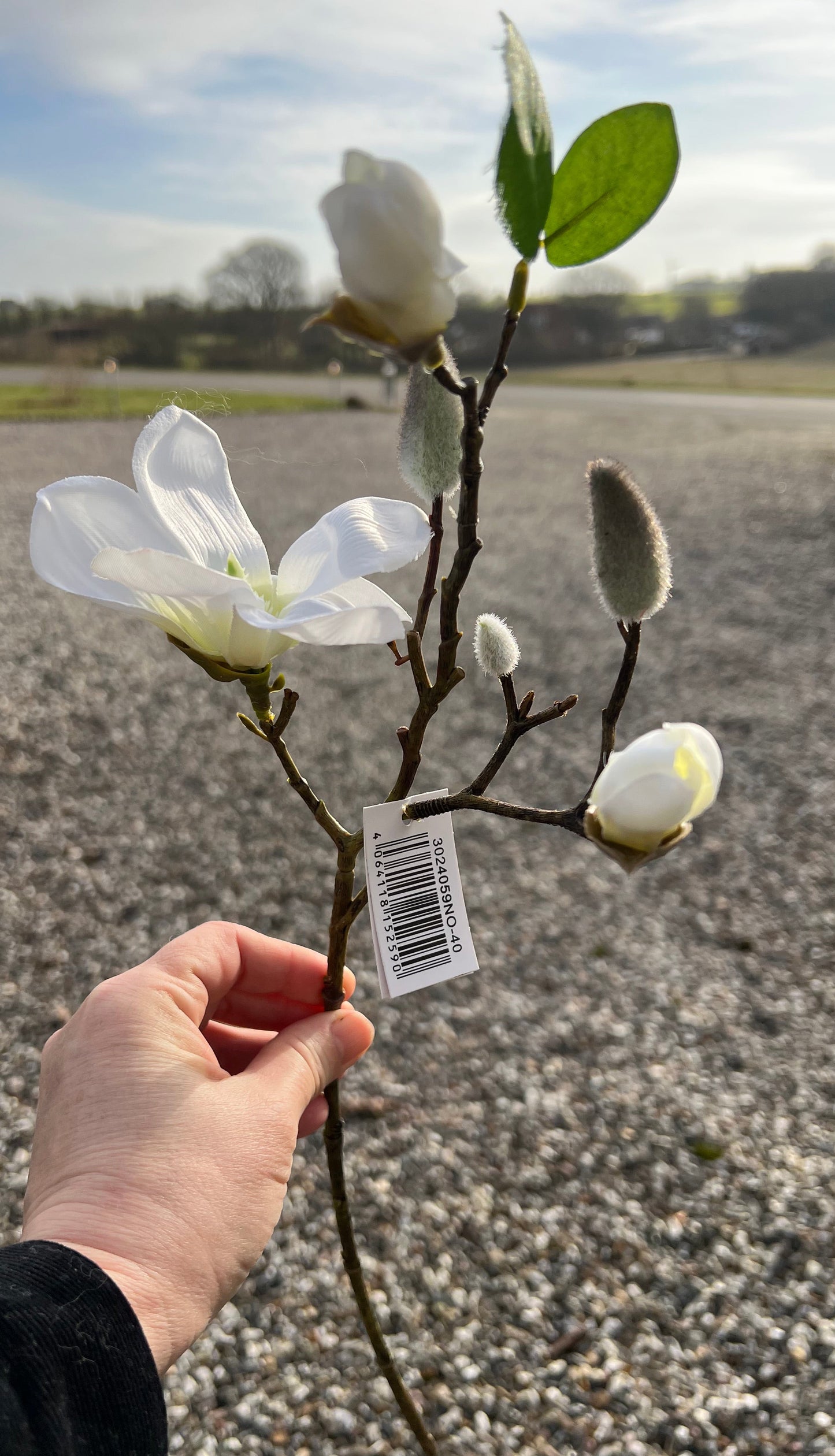 Forårsblomst fra Barbarashop