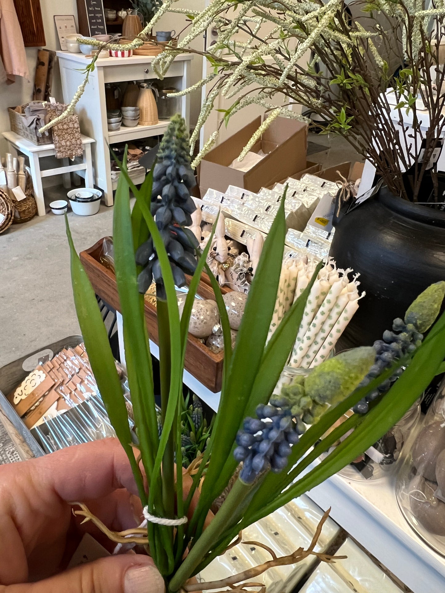 Naturtro perlehyacint fra Barbarashop