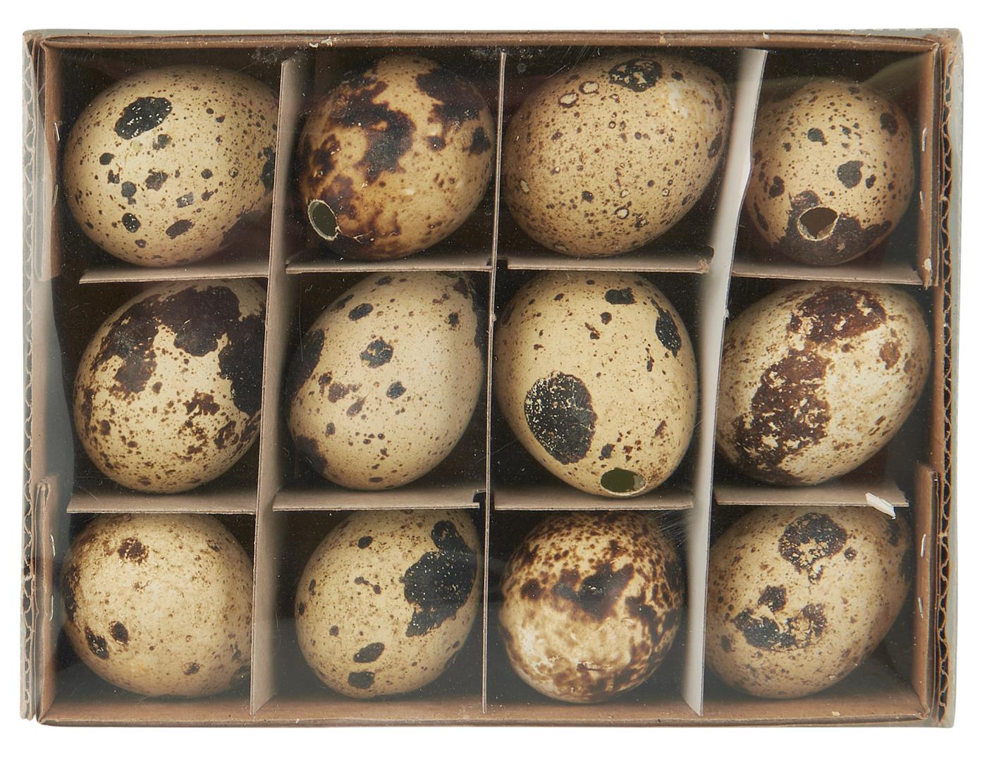 Vagtelæg i natur fra Ib Laursen