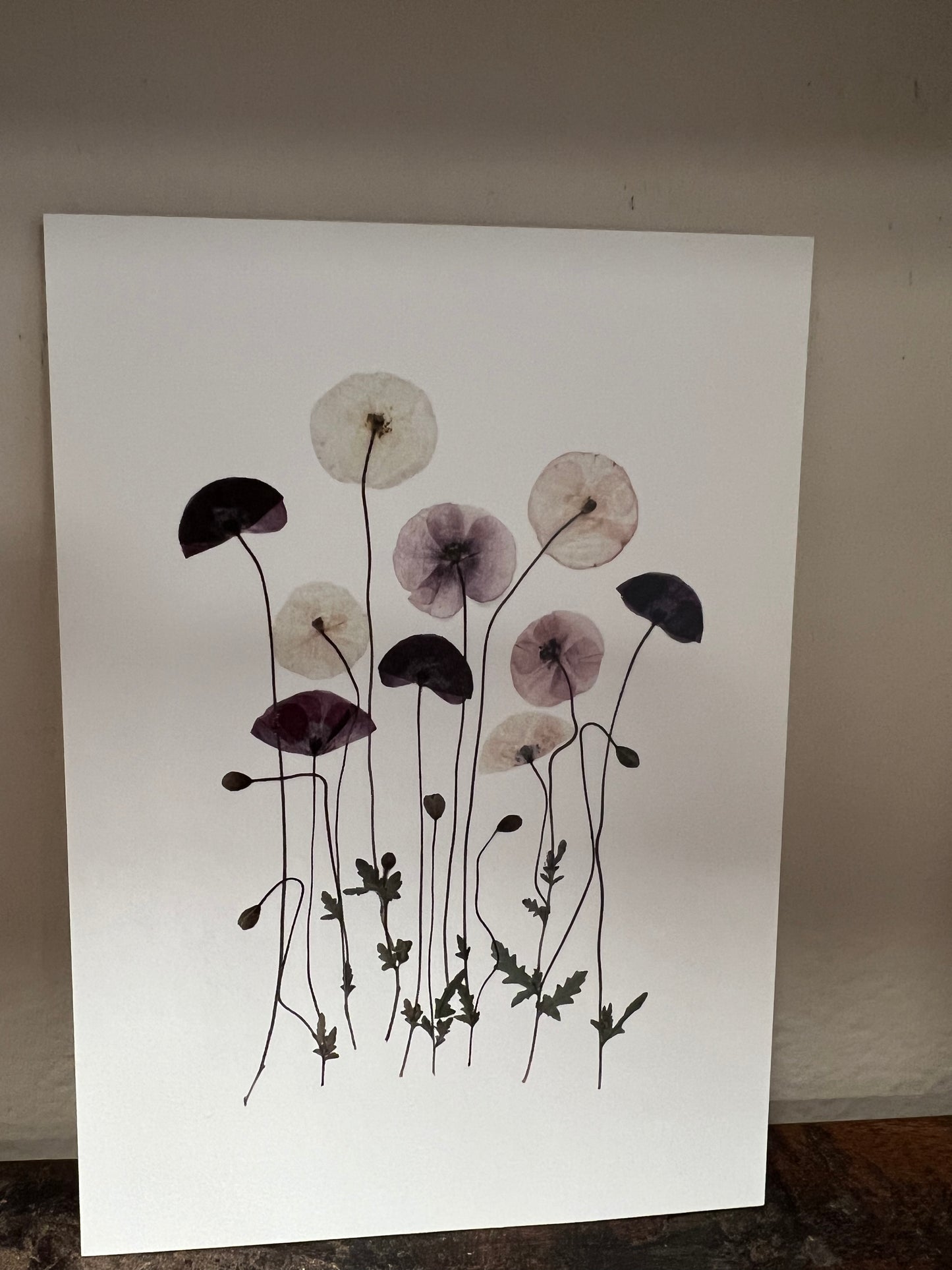 Billede med valmuer fra Blomsterpresseriet
