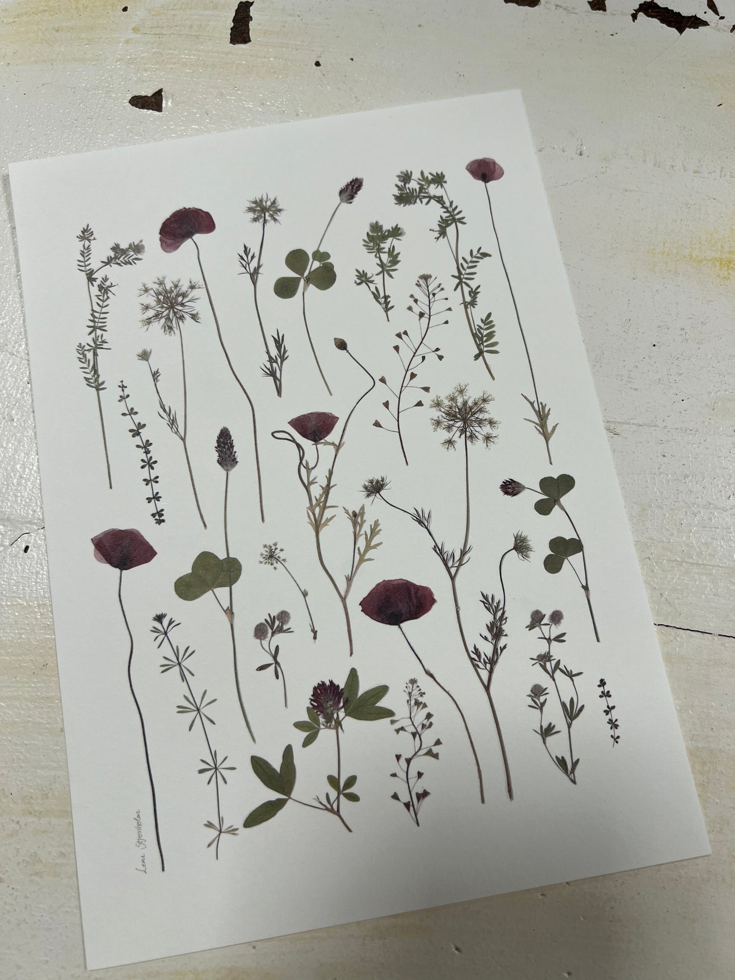 Smuk plakat til hjemmet med vilde blomster