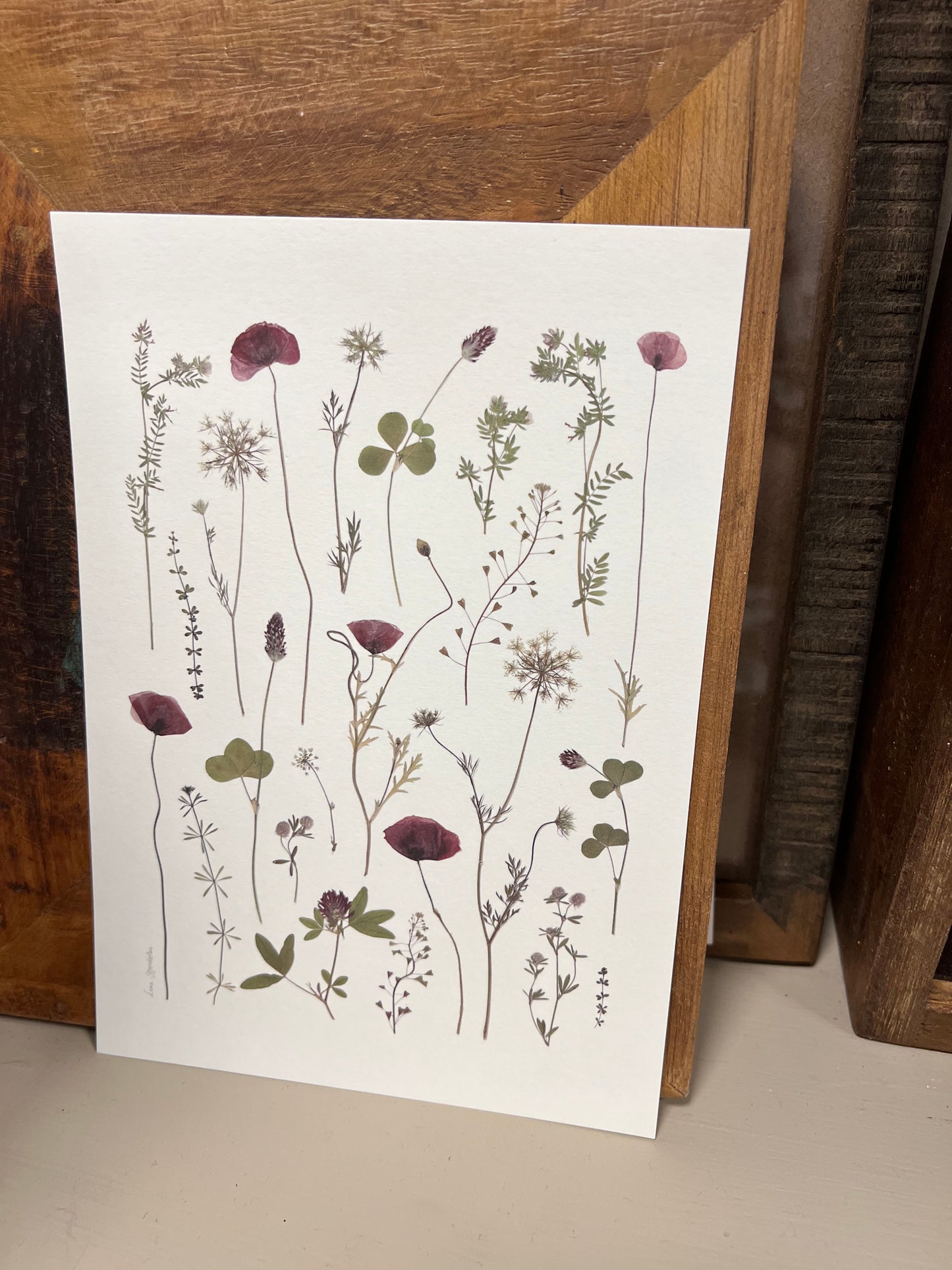 Billeder til stuen med blomster