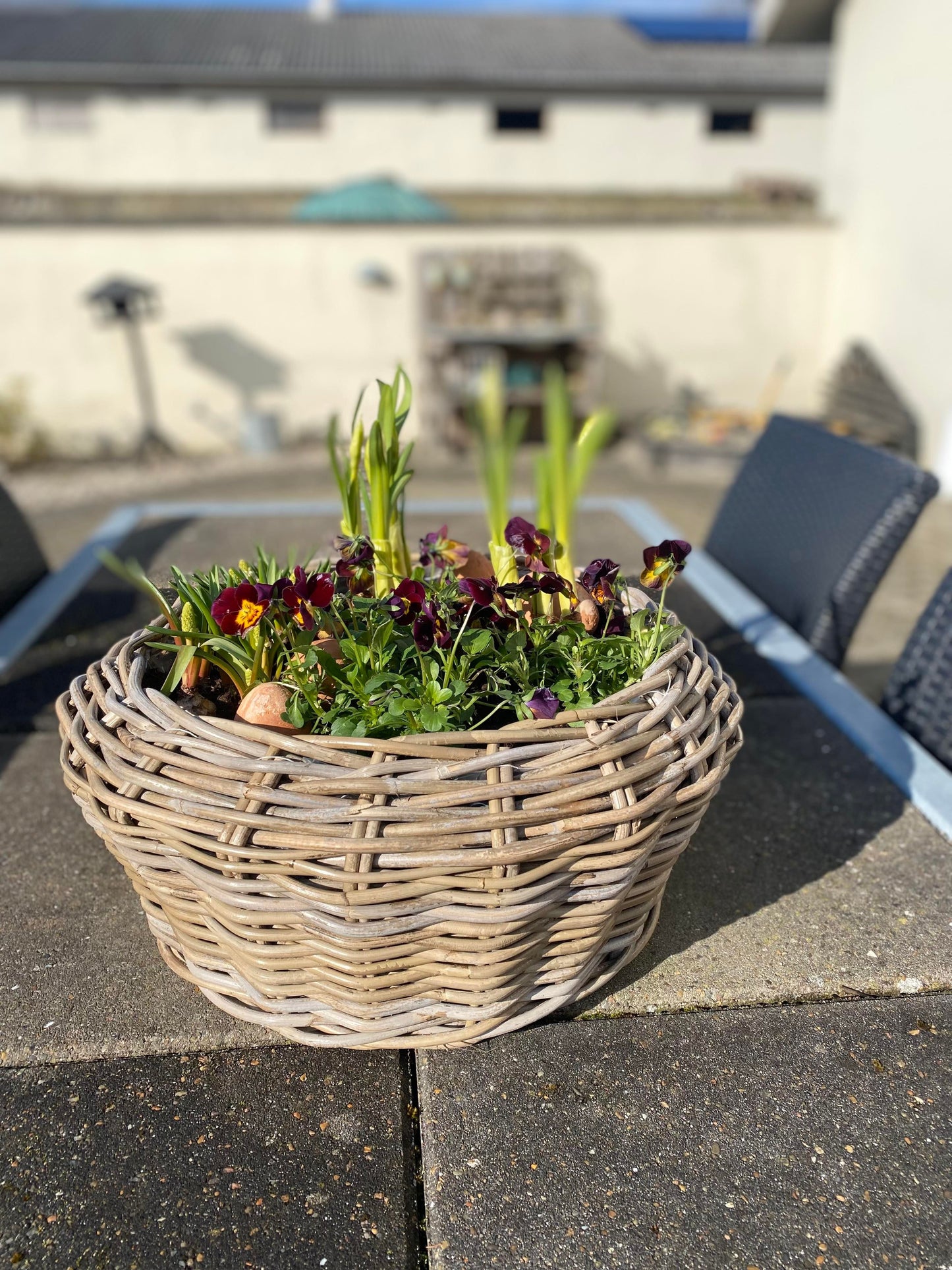 Lav plantekurv i grå rattan