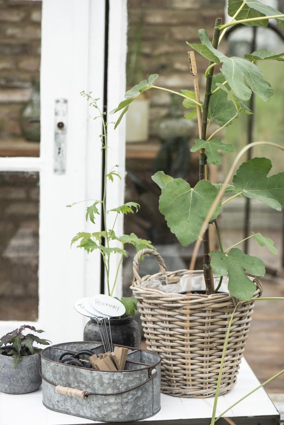 Plantekurv i flettet rattan