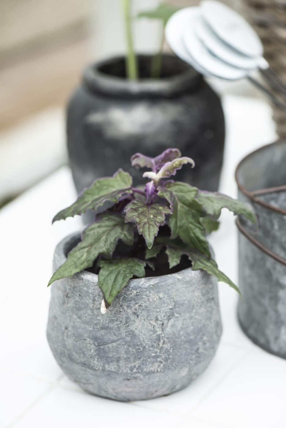 Skjuler Akropolis i beton fra Ib Laursen