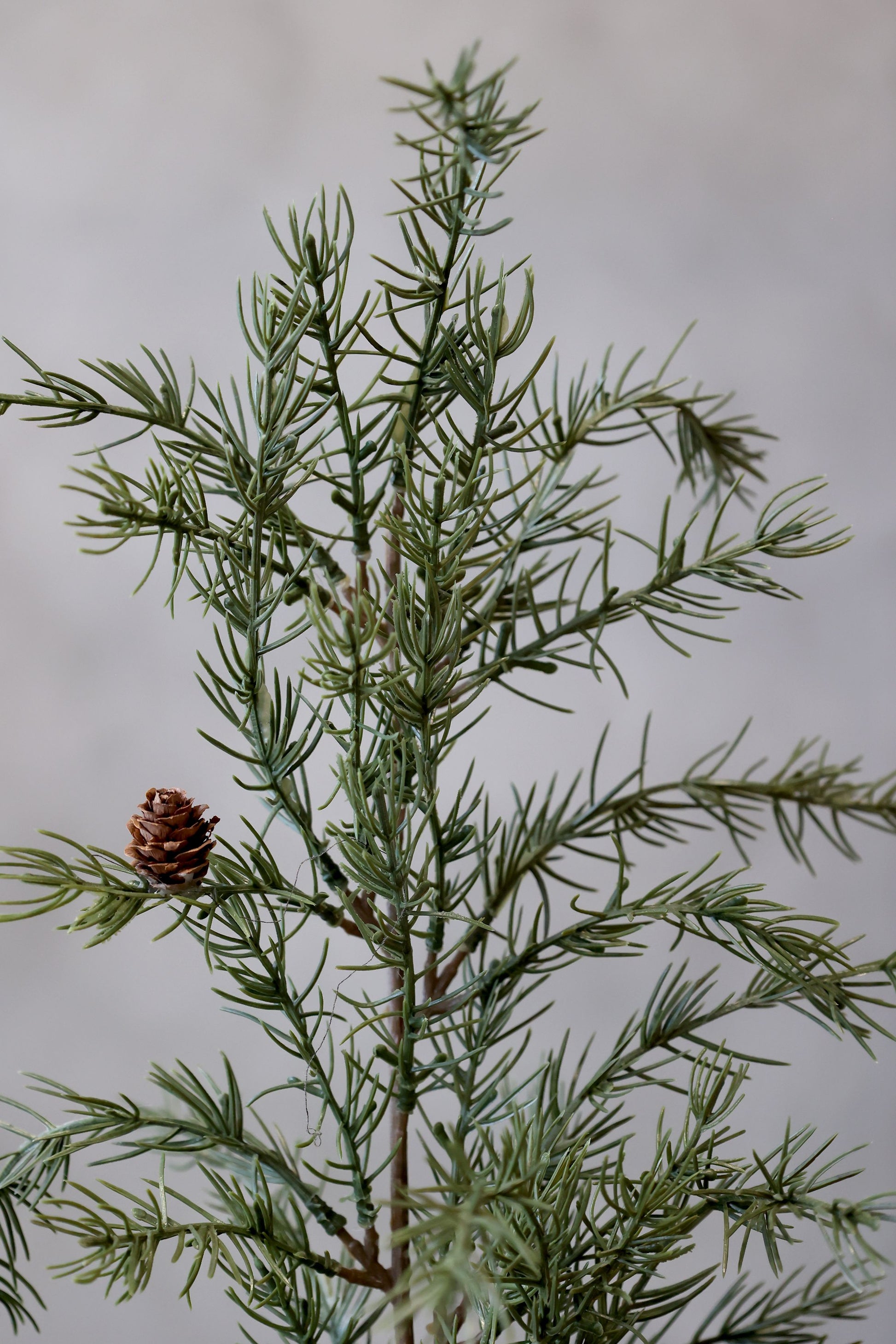 Grantræ fra Chic Antique