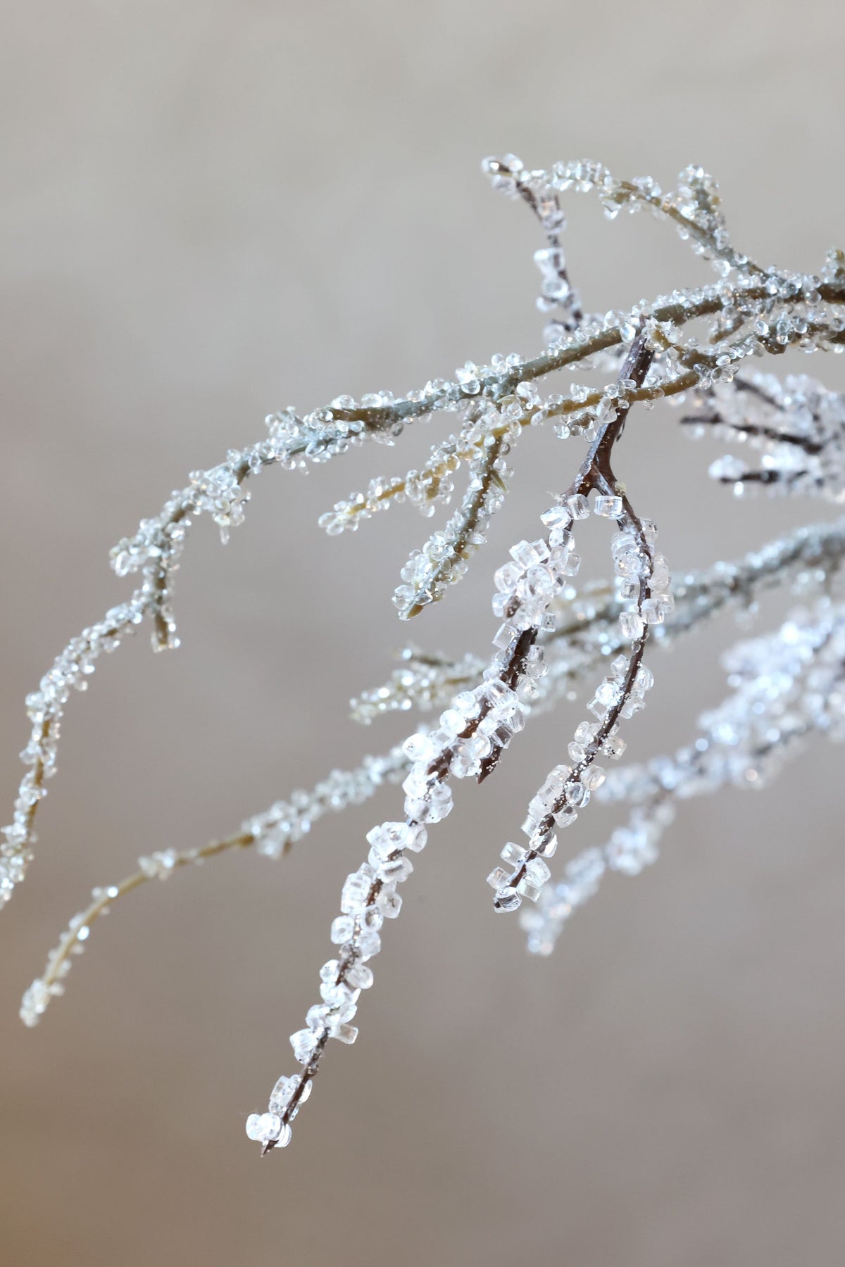 Gren til juledekorationer fra Chic Antique
