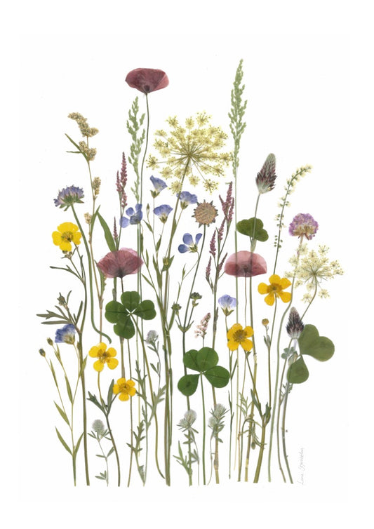 Plakat med blomster fra Blomsterpresseriet