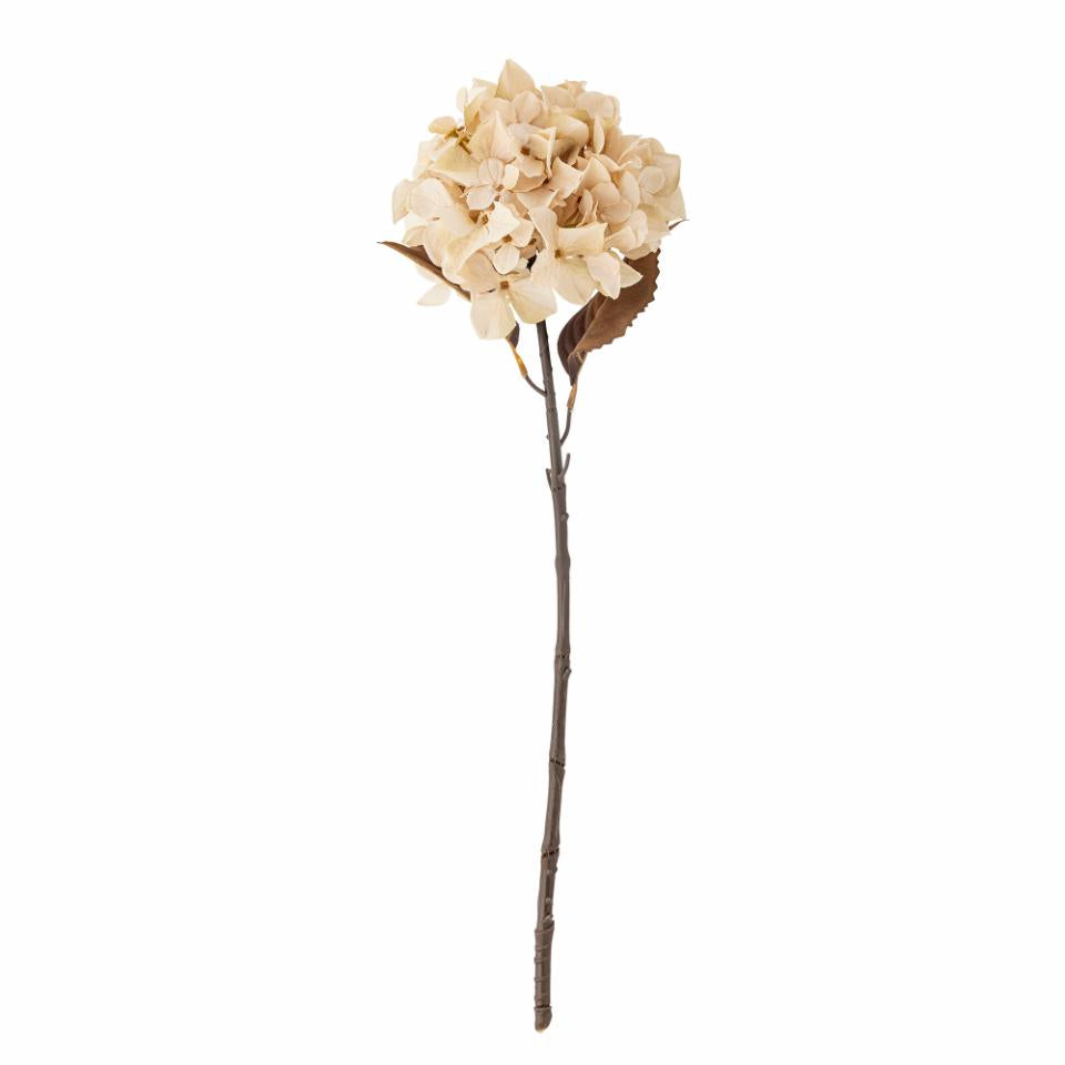 Naturtro hortensia fra Bloomingville