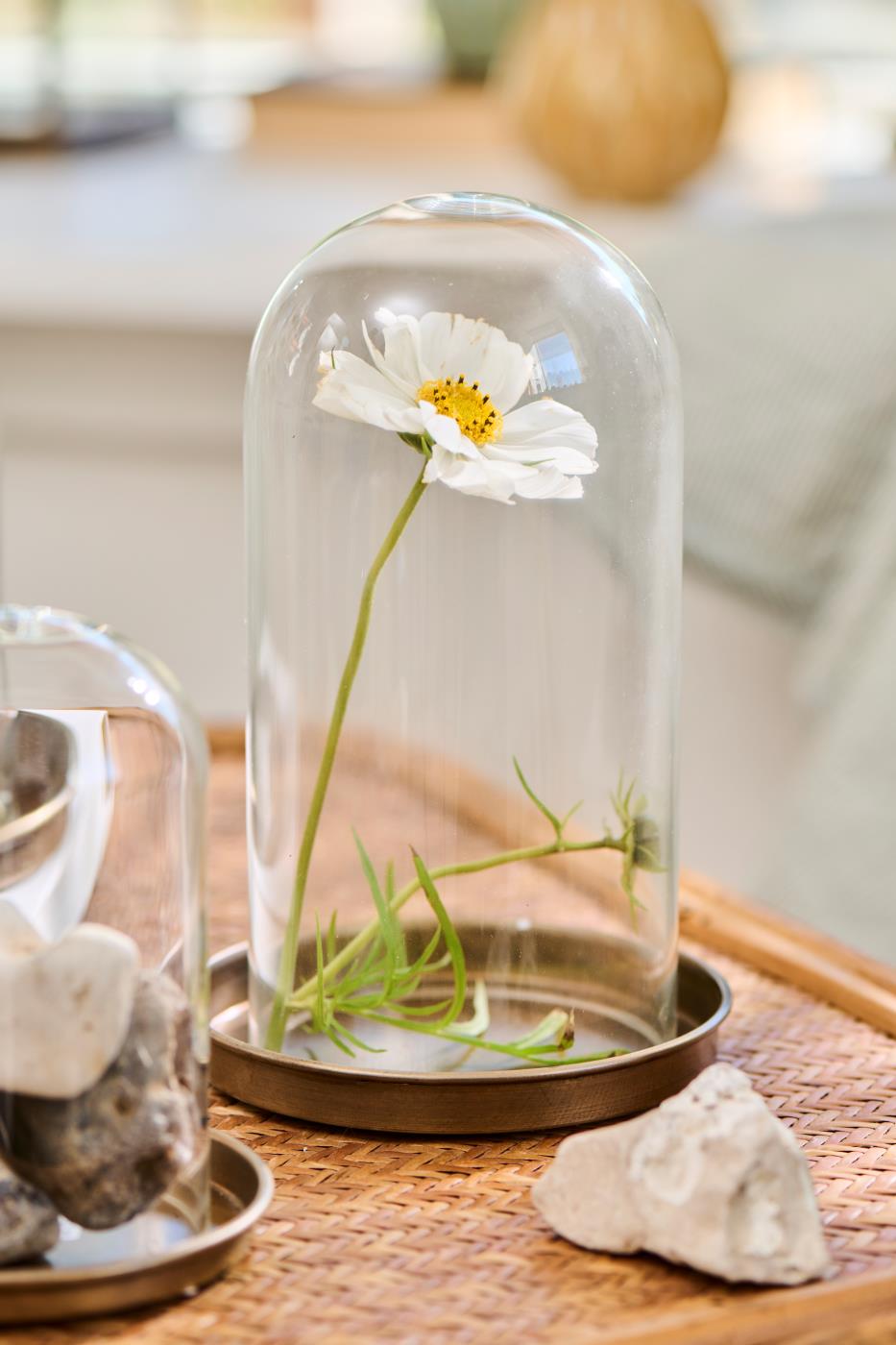 Lysbakke til glasklokke fra Ib Laursen