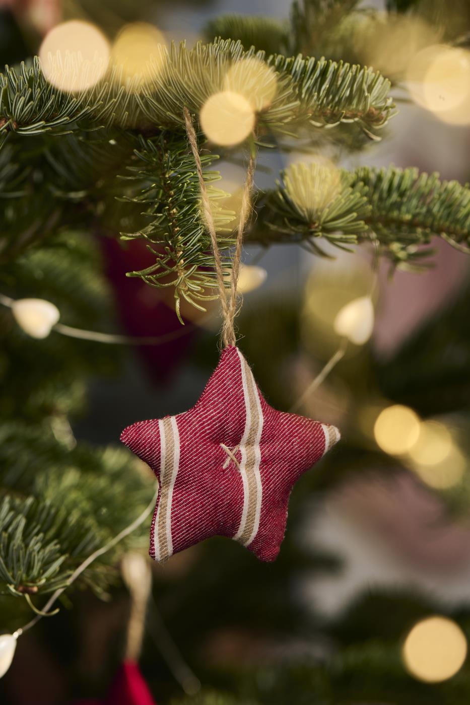 Stjerne med stribe til ophæng fra Ib Laursen