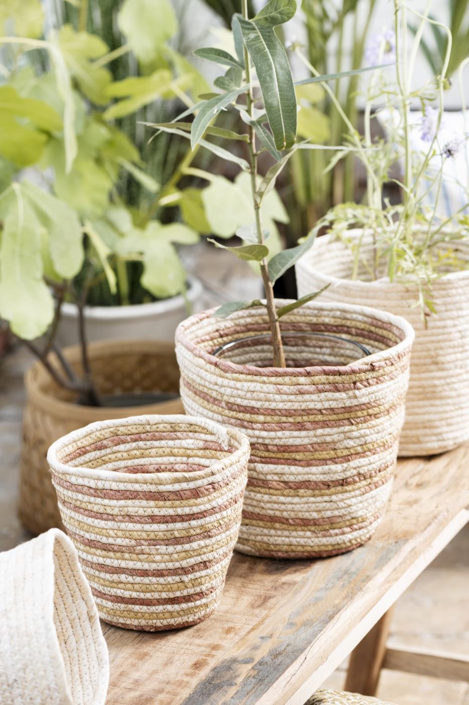 Træ bænk i mørk træ fra Ib Laursen