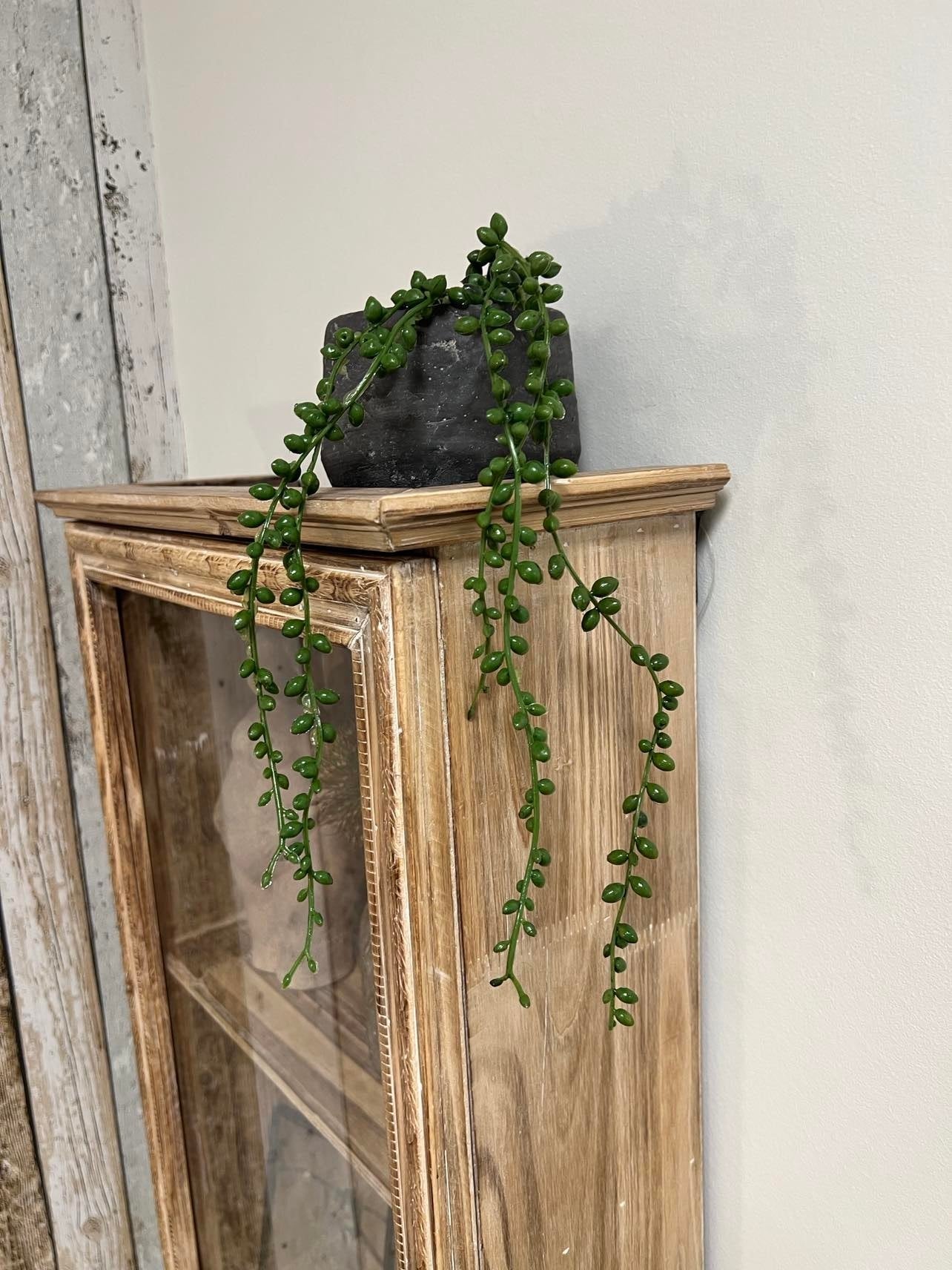 Plastikplante grøn